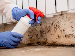 Best Environmental Consulting for Mold Prevention  in St Michael, MN